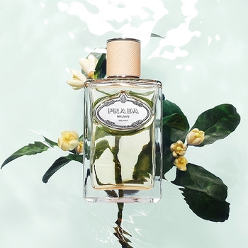 Infusion De Fleur d´Oranger EDP